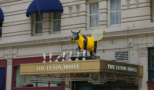 High_Cowrumble_Bee