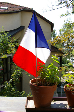 Un drapeau français planté dans mon basilic
